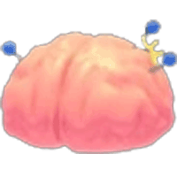 Exposed Brain  - Rare from Accessory Chest